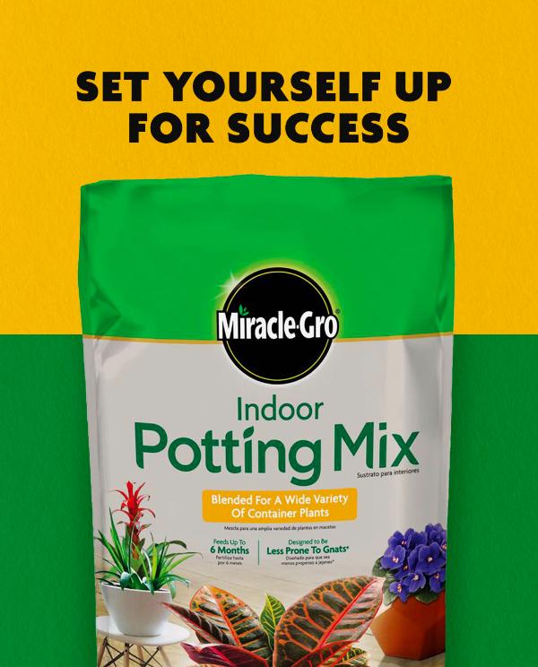 Miracle-Gro Indoor Potting Mix 6 qt