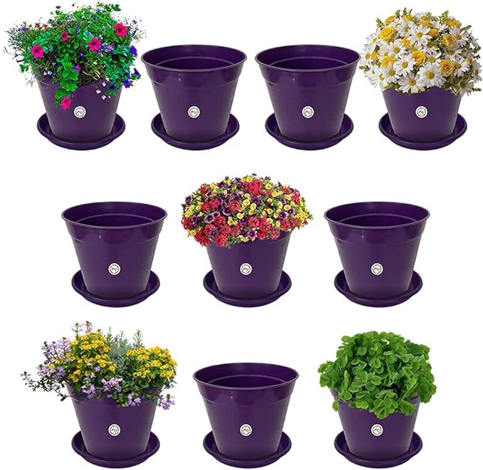 Kraft Seeds Plastic Flower Pot with Bottom Trays - Purple